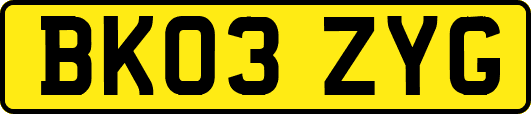 BK03ZYG