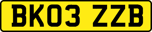 BK03ZZB
