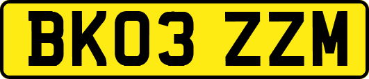 BK03ZZM