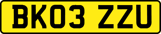 BK03ZZU