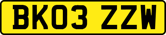 BK03ZZW