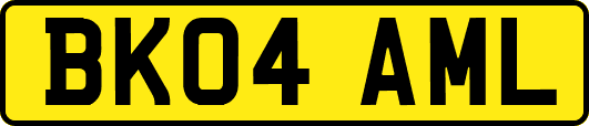 BK04AML