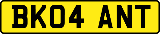 BK04ANT