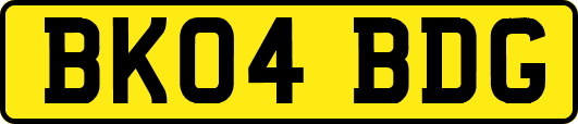 BK04BDG