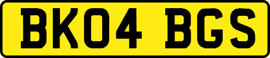 BK04BGS