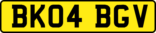 BK04BGV