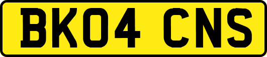 BK04CNS