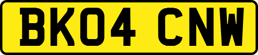 BK04CNW