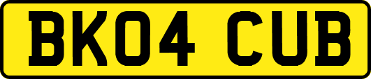 BK04CUB
