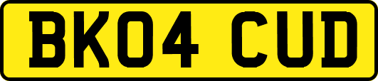 BK04CUD