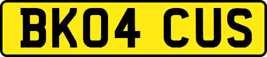 BK04CUS
