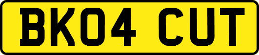 BK04CUT