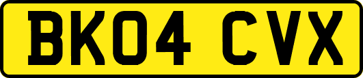 BK04CVX