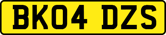 BK04DZS