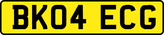 BK04ECG