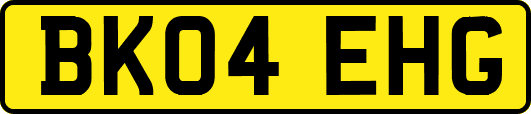 BK04EHG