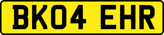 BK04EHR