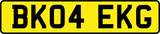 BK04EKG
