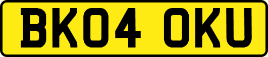 BK04OKU