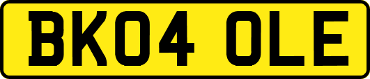 BK04OLE