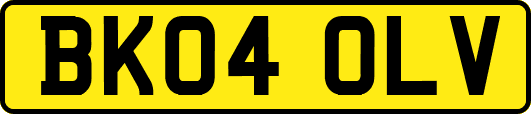 BK04OLV