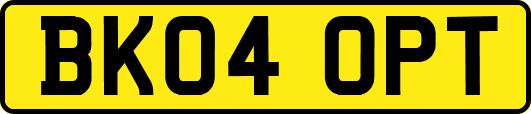 BK04OPT