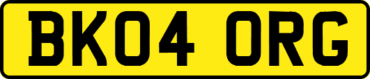 BK04ORG