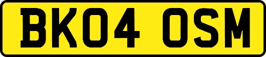 BK04OSM