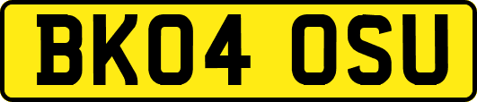 BK04OSU