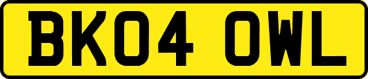 BK04OWL