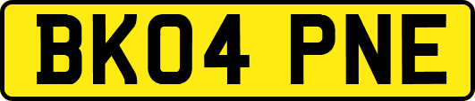 BK04PNE