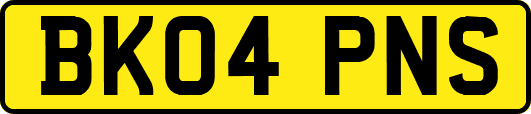 BK04PNS