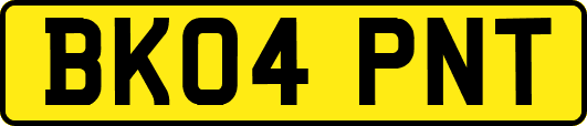 BK04PNT