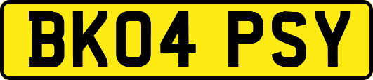 BK04PSY