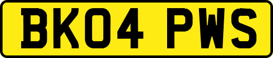 BK04PWS