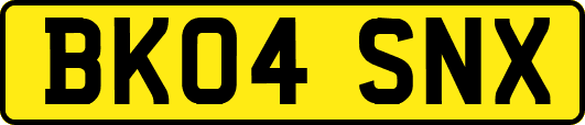 BK04SNX