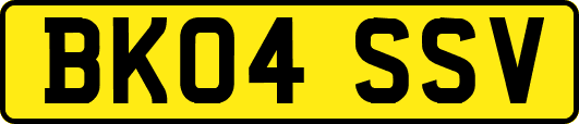 BK04SSV