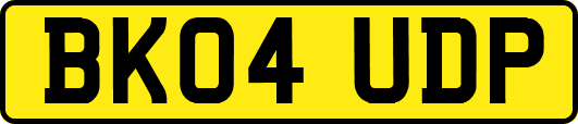 BK04UDP