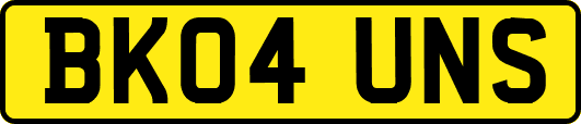 BK04UNS