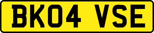 BK04VSE