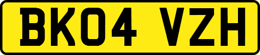 BK04VZH