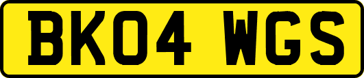BK04WGS