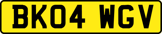BK04WGV
