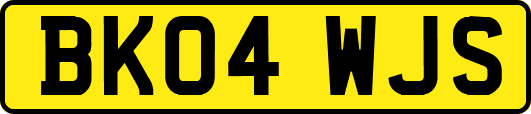 BK04WJS