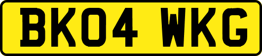 BK04WKG