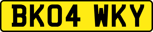 BK04WKY