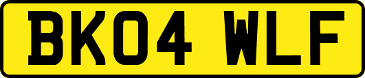 BK04WLF