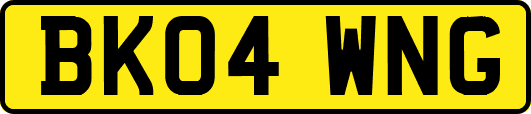 BK04WNG