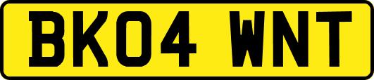 BK04WNT