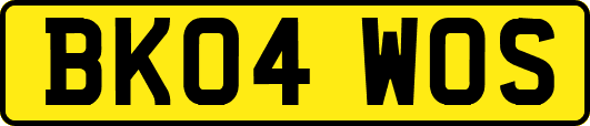 BK04WOS